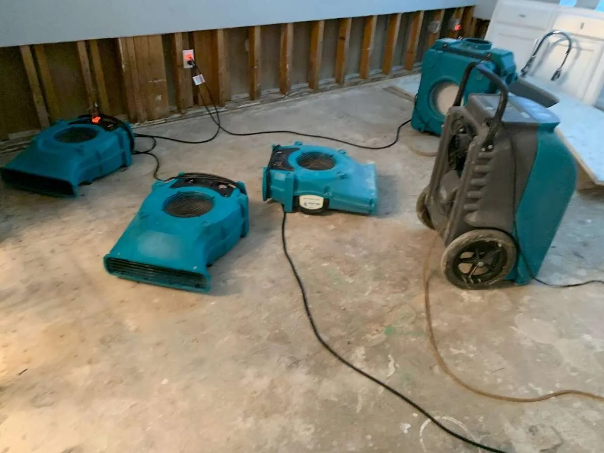 Water Damage Restoration services in Burlingame, CA